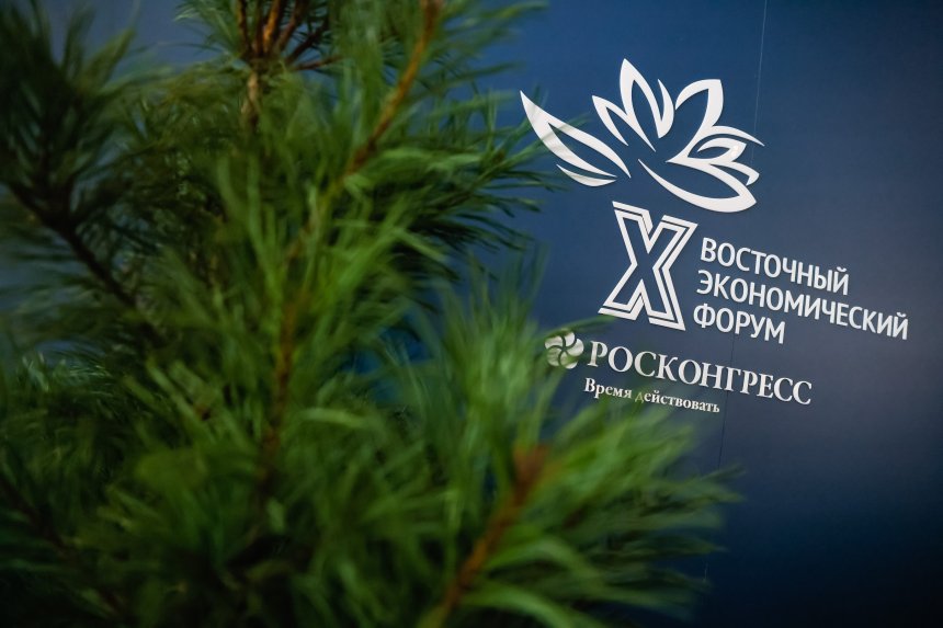 Из жизни ВЭФ'25