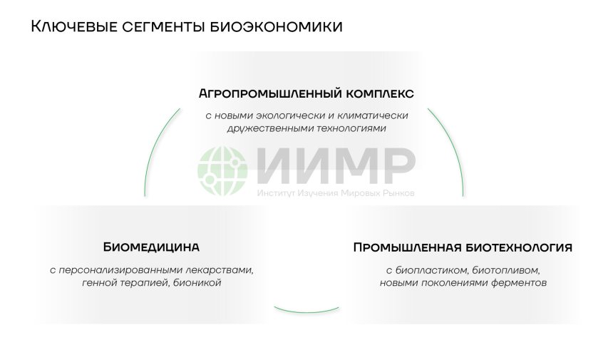 Ключевые сегменты биоэкономики